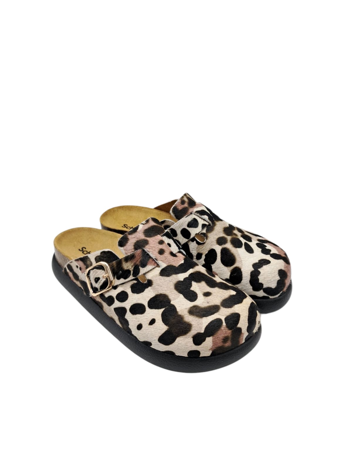 Scholl fae chunky