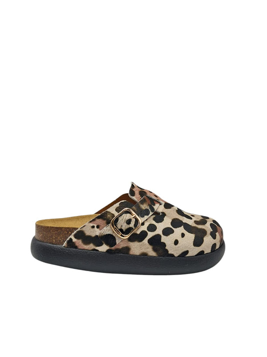 Scholl fae chunky
