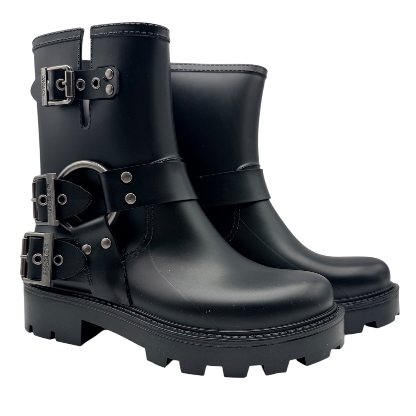 Colors of california anfibio da pioggia