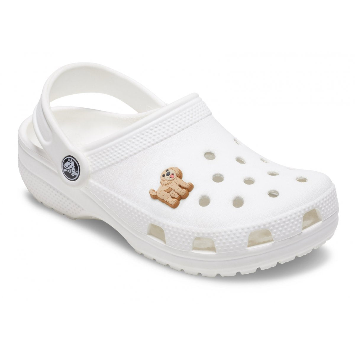 Crocs Golden Doodle Puppy