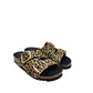 Scholl Selene