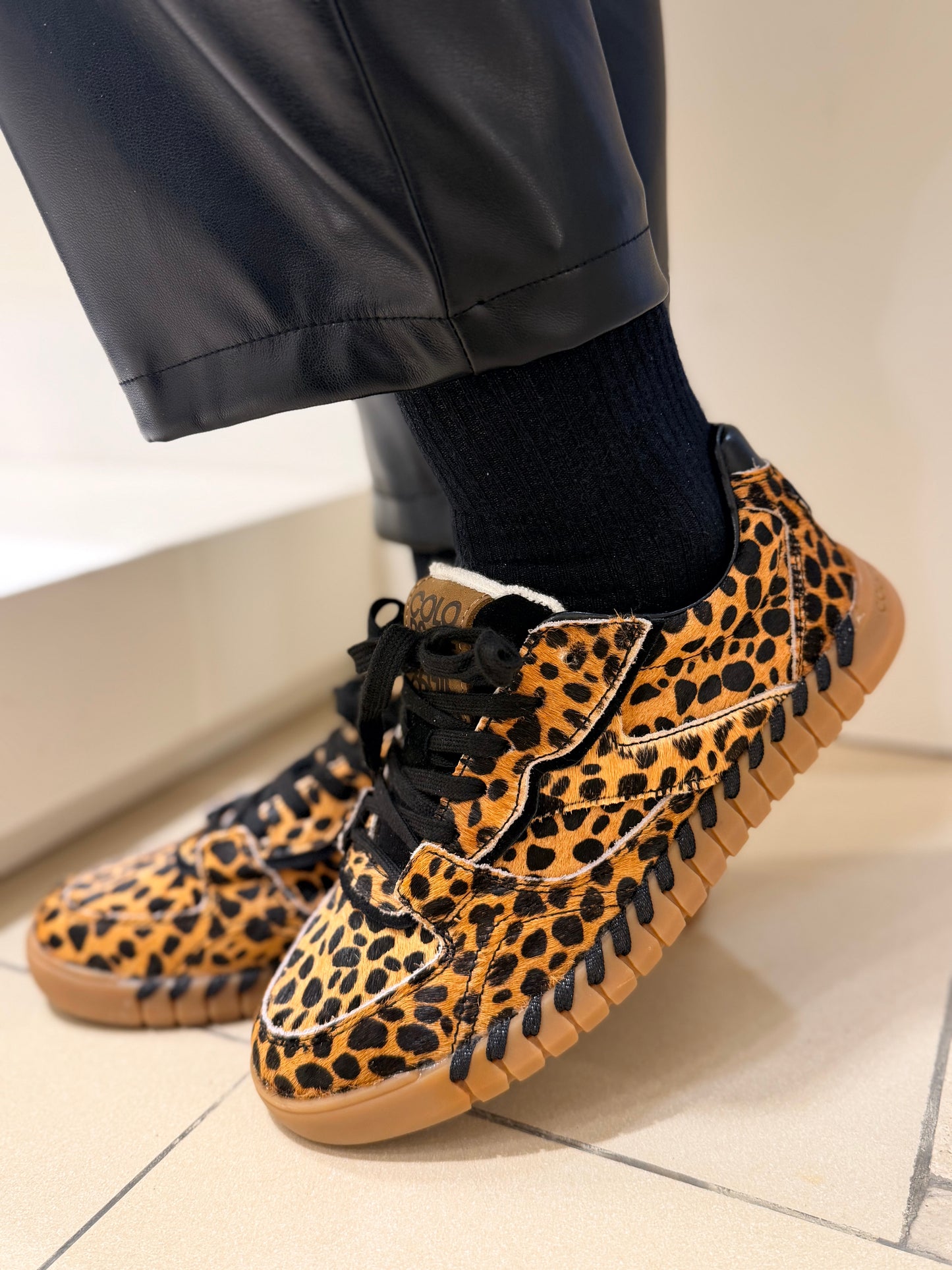 Colors of California animalier