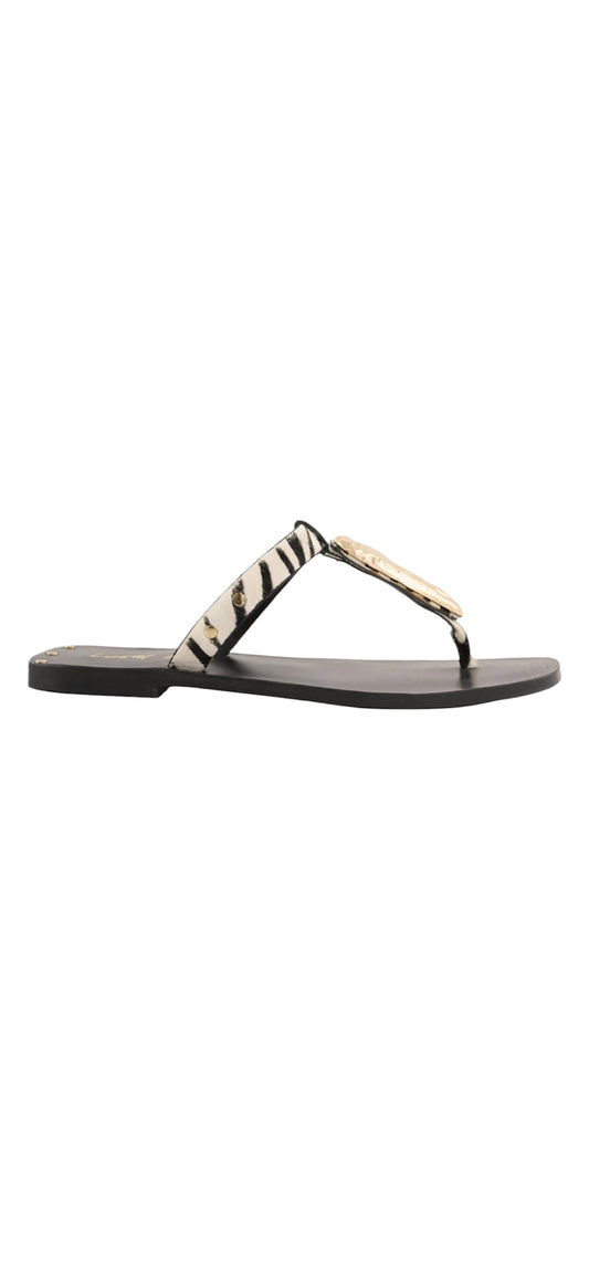 Coral blue infradito zebra
