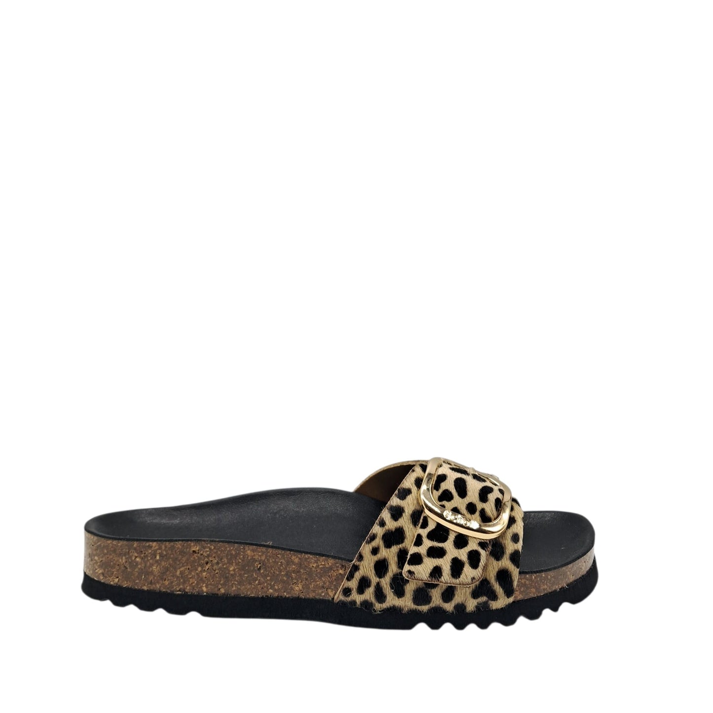 Scholl Kathleen