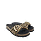 Scholl Kathleen