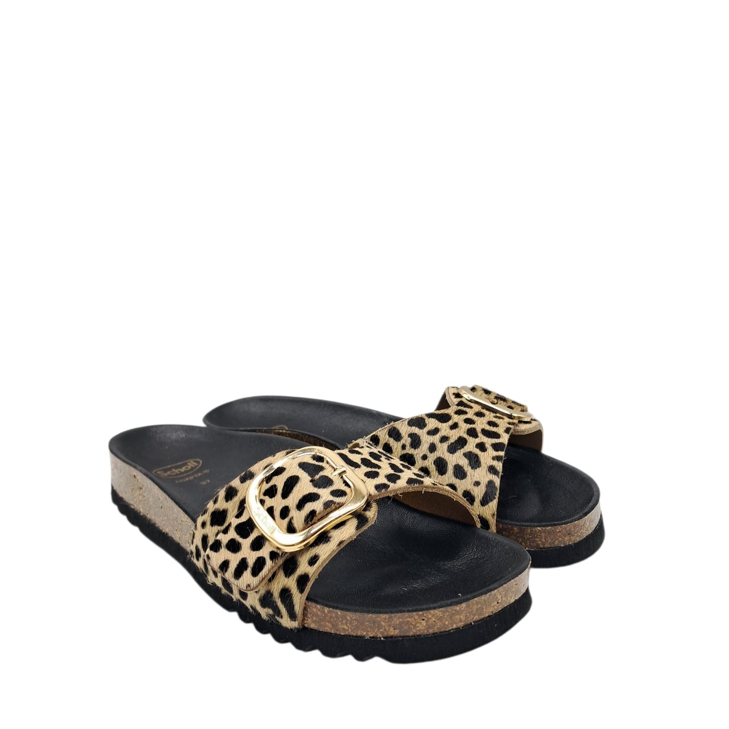 Scholl Kathleen